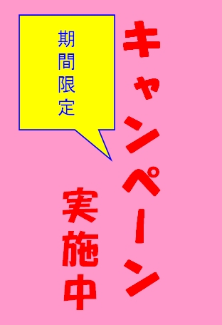 2010年12月キャンペーンのお知らせ 1